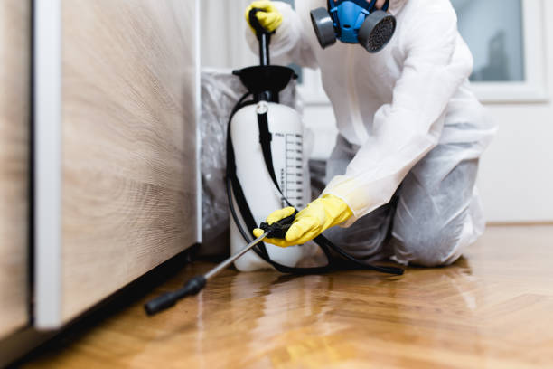 Reliable Tomball, TX Pest Control Solutions