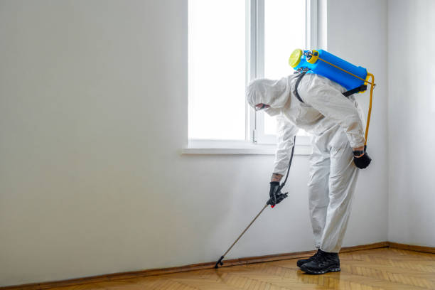 Best Pest Prevention Services  in Tomball, TX